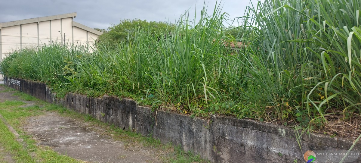 Terreno para venda em Peruíbe no bairro Centro