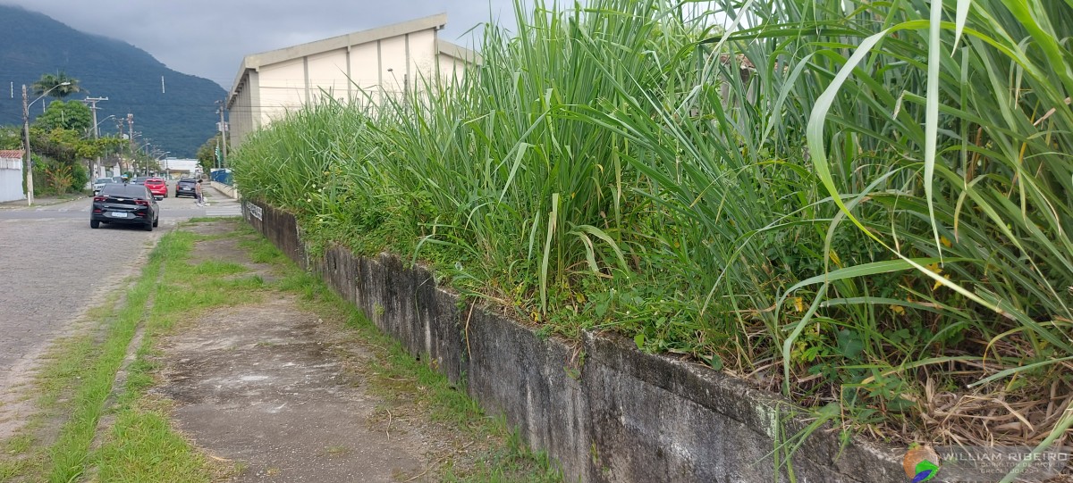 Terreno para venda em Peruíbe no bairro Centro