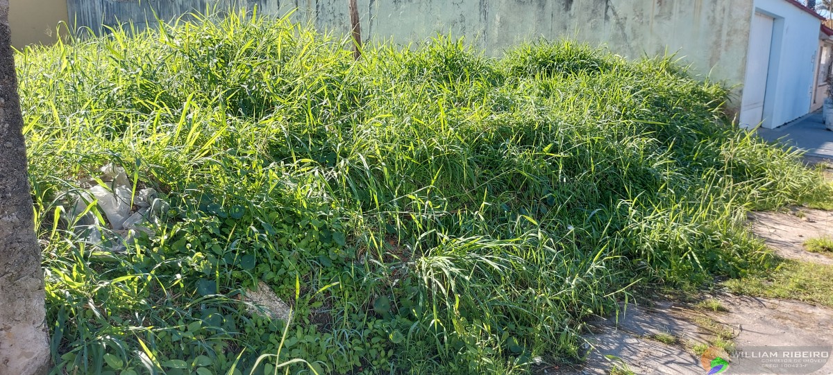 Terreno para venda em Peruíbe no bairro Oásis